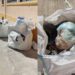 Cagliari, via Parini abbandonata al degrado: “Da ottobre tre enormi sacchi sul marciapiede”