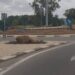 Pula, i sassi della discordia al centro delle polemiche