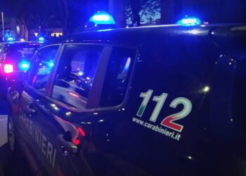 Gesturi, 60enne ubriaco crea scompiglio con due cani senza guinzaglio