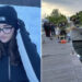 Cade dal catamarano durante il primo giorno di lavoro: Anna muore a 17 anni