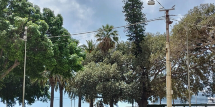 Cagliari presa d’assalto dai crocieristi: in settemila alla scoperta della città