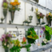 Ladri di fiori scatenati in cimitero a Quartucciu: “È il quinto caso”