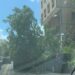 Cagliari, crolla un albero in via Paoli: distrutte tre auto