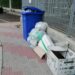 Cagliari, rifiuti all’ingresso del parco di Terramaini: “Uno spettacolo indecoroso”