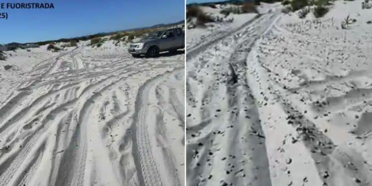 A Porto Pino piste per fuoristrada nel bel mezzo delle dune: la denuncia del Grig