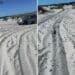 A Porto Pino piste per fuoristrada nel bel mezzo delle dune: la denuncia del Grig