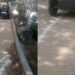 Torre delle Stelle, la corsia destinata ai pedoni diventa un parcheggio