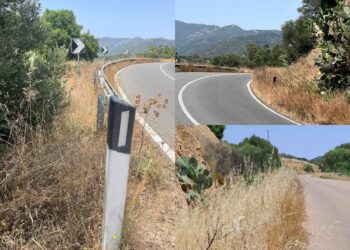 Da Castiadas a Muravera, erba alta e secca a bordo strada: “Una miccia pronta per essere innescata”