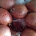 Gonnesa, rubati 150 chili di cipolle dal terreno di un anziano: “Gesto ignobile”