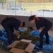 Sestu, arrestate due persone per produzione di marijuana