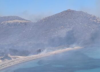 Incendio a Punta Molentis, il Grig: “La Procura deve indagare per strage”