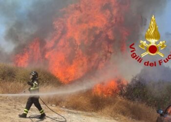 Cagliari, incendio tra via Peretti e via Jenner: le fiamme lambiscono il Brotzu e arrivano fino al parcheggio (VIDEO)