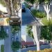 Cagliari, scatta la rivoluzione green per viale Merello: via ai lavori nel 2026, saranno piantati 192 nuovi alberi