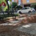 Cagliari, piazza paese di Desulo sommersa da cumuli di aghi di pino : “Gli operatori ecologici sono in ferie?”