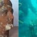 Pula, recuperata dal fondale marino una testa in terracotta di età romana