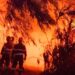 Roghi ad Alghero, Sorgia: “Inaccettabile l’assenza di una base aerea antincendio nel nord-ovest della Sardegna”