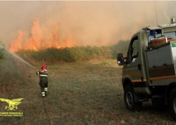 Sardegna ancora avvolta dalle fiamme, 13 incendi ed immenso lavoro dei vigili del fuoco