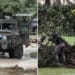 Alluvione in Texas, il dramma infinito: 88 persone decedute, 10 bambine fra i dispersi