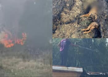 Settimo San Pietro nella morsa del fuoco: immagini impressionanti da Su Padru (VIDEO)