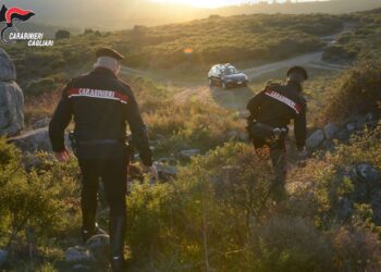 Abusivi della caccia uccidono un daino e un cinghiale ad Arbus: denunciati