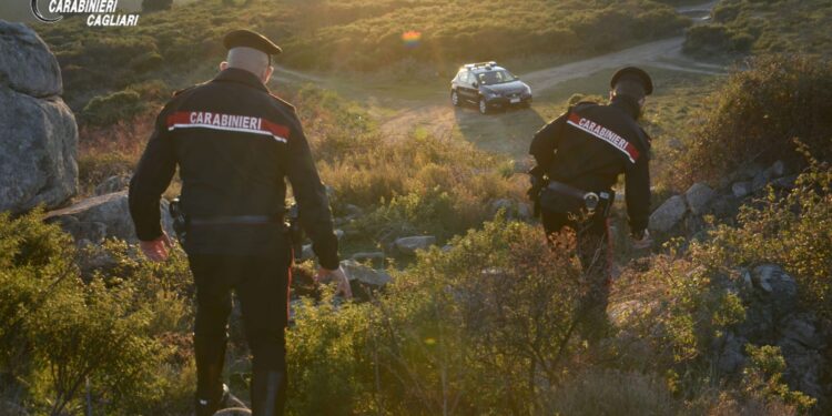 Abusivi della caccia uccidono un daino e un cinghiale ad Arbus: denunciati
