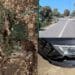 Ancora cervi sulla Ss 195, ennesimo incidente a Pula