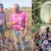 Agricoltori della Trexenta in ginocchio dopo i nubifragi dei giorni scorsi