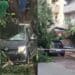 Albero caduto in via Sant’Avendrace a Cagliari, la testimonianza shock della donna colpita
