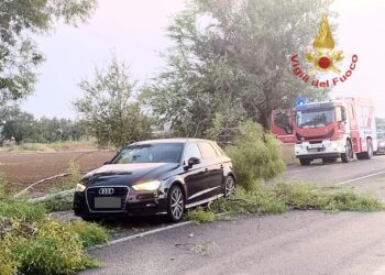 Paura sulla Ss 197 tra Furtei e Villasanta, grosso ramo cade su un’auto in transito