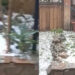 Maxi grandinata a Tonara, strade e giardini si tingono di bianco: un pomeriggio estivo che diventa autunnale