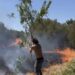 Assemini, gettone di presenza per il rimboschimento delle aree devastate dagli incendi