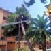 Assemini, cade un albero in via Toscana: lesionata una palazzina