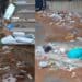 Cagliari, “Cumuli di sporcizia da via Is Mirrionis a via Trentino, blatte e topi ovunque”: l’università nel mirino degli incivili (VIDEO)