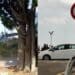 Capoterra, vietato percorrere a piedi la 195: spunta un cartello che limita il passaggio anche a chi deve arrivare a casa