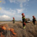 Incendio boschivo a San Gavino Monreale, evacuata un’abitazione a S’arrideli