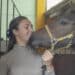Istruttrice equestre cade da cavallo, Carola muore a 24 anni
