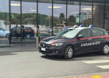 Pula, ruba alcolici per mille euro al supermercato: arrestato 21enne rumeno