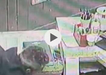 Il pizzaiolo Luciano Auriemma scopre il ladro nel locale e lo invita e rendere i soldi
