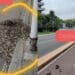 Cagliari, caditoie sommerse da foglie e detriti: preoccupazione tra via dei Tritoni e via del Sole