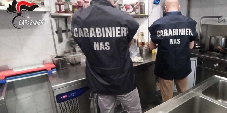 Cagliari, animali infestanti morti e frigoriferi in pessimo stato: i Nas chiudono un ristorante