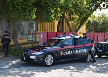 Ruba cassette di frutta per 2 mila euro: pensionato denunciato a Sanluri