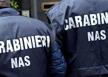 “Prodotti a km 0”, ma in realtà sono di importazione: i Nas sequestrano 400 kg di alimenti in una cooperativa agricola di Pula