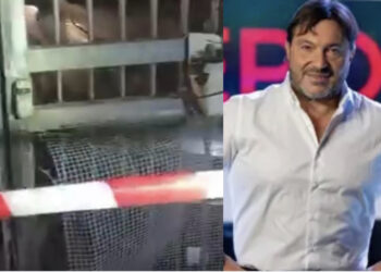 Attentato sotto casa di Sigfrido Ranucci: un testimone avrebbe visto un uomo incappucciato allontanarsi
