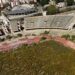 Cagliari, giungla Sant’Elia: il vecchio stadio mai demolito è una foresta urbana abbandonata al degrado