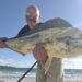 Una lampuga di 5 chili pescata nel golfo cagliaritano