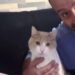 Igor Sollai incastrato dai punti esclamativi che Francesca non usava mai nelle chat: le dimissioni per incassare il Tfr della moglie