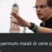 “Sardi mostri senza cuore”, è polemica dopo le accuse degli animalisti