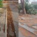 Quartu Sant’Elena, a Stella di Mare 1 strade e marciapiedi dissestati e pericolosi