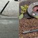 Cagliari, vandalizzati i dissuasori di viale Trieste