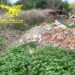 Cagliari, trovato il furbetto che abbandonava rifiuti nell’area protetta di Molentargius